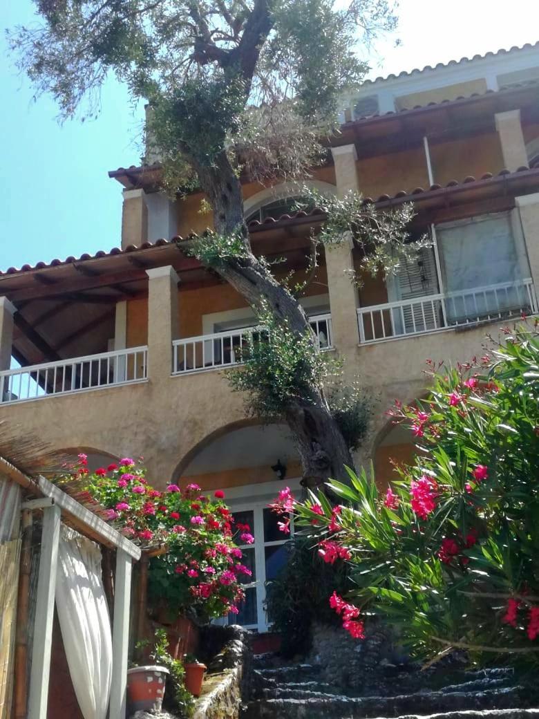 Holiday home Kohyli Beachfront House *